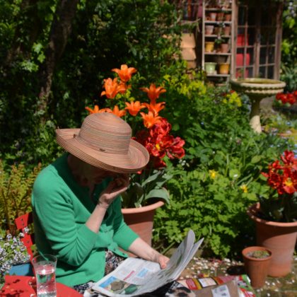 London Cottage Garden Blog