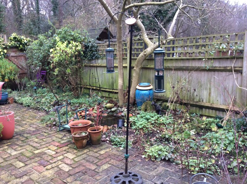 Bird feeders are a part of a town cottage garden