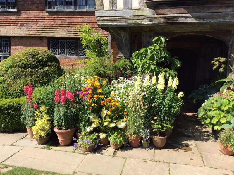 Pots of plants around front door at Great Dixter