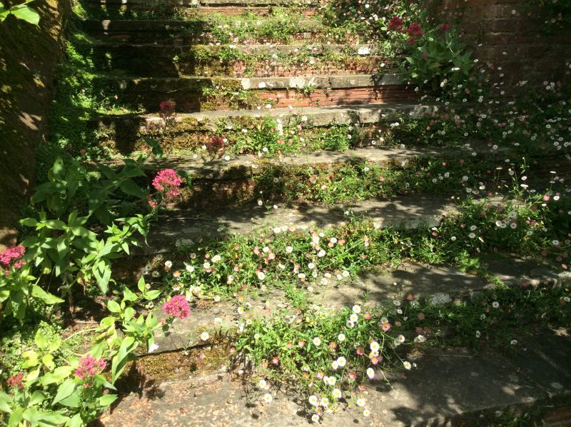 What can Great Dixter inspire in my London cottage garden