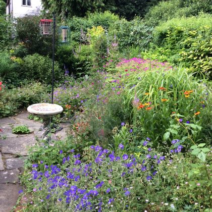 London Cottage Garden Blog