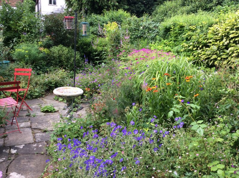 London Cottage Garden Six on a Saturday: tips for not feeling ...