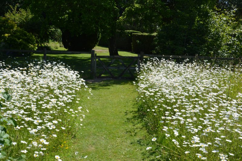 Inspiration for a cottage gardening from Belmont Gardens, Kent