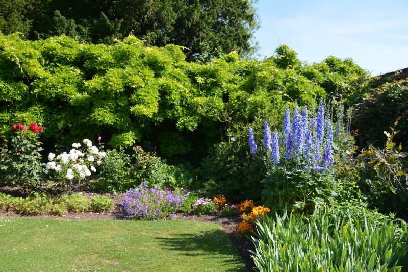 Inspiration for a london cottage garden