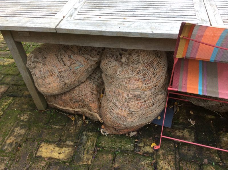 Leaf mould in a cottage garden