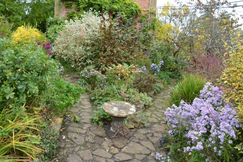 cottage garden