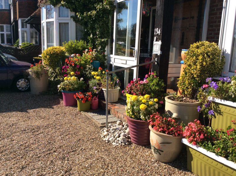 colourful pots full of flowers