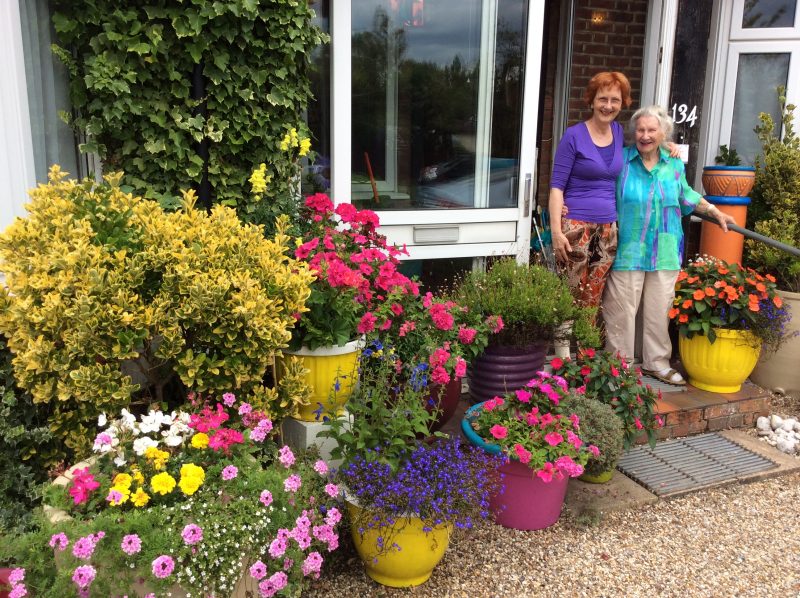 pots of summer flowers