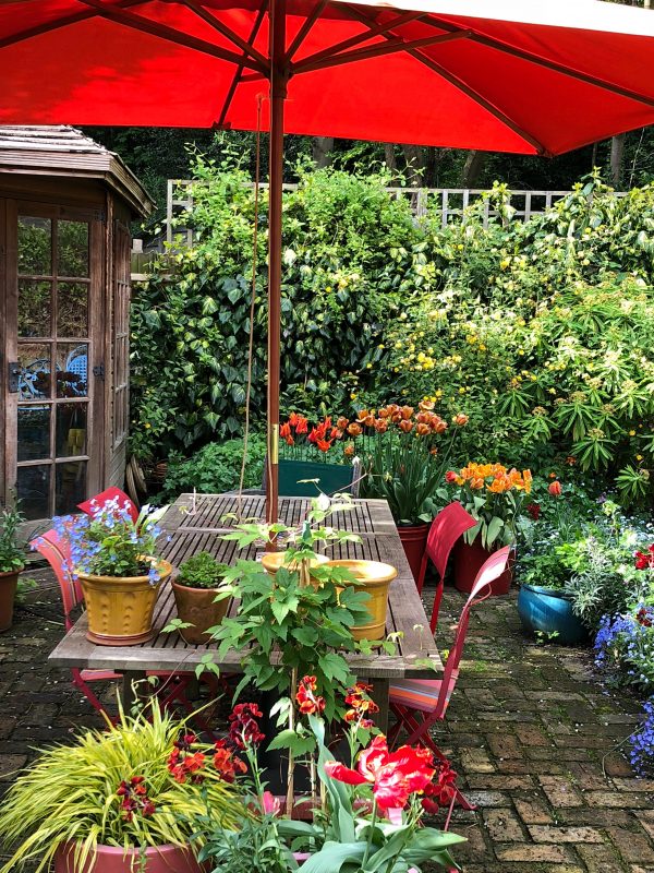 London Cottage Garden Compromises in a town cottage garden - Six on ...