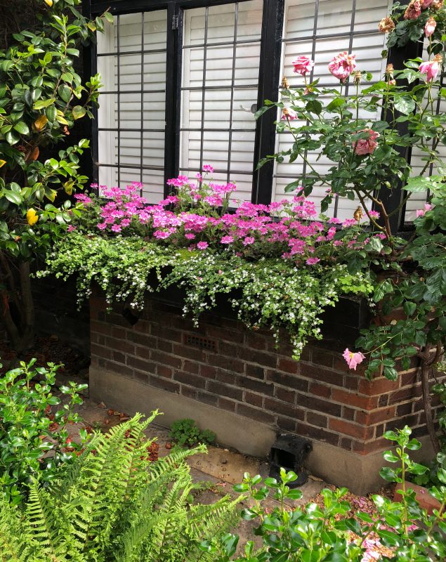 window box planting