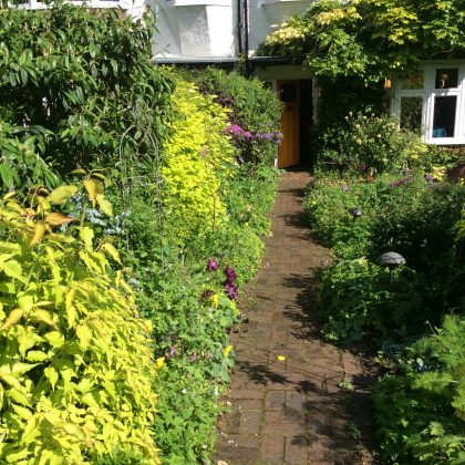 London Cottage Garden Blog