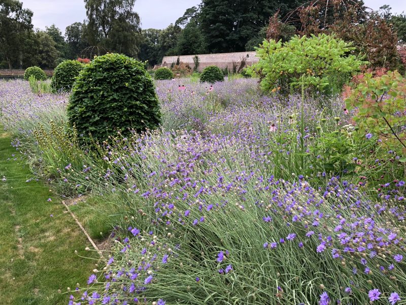 Walled kitchen garden