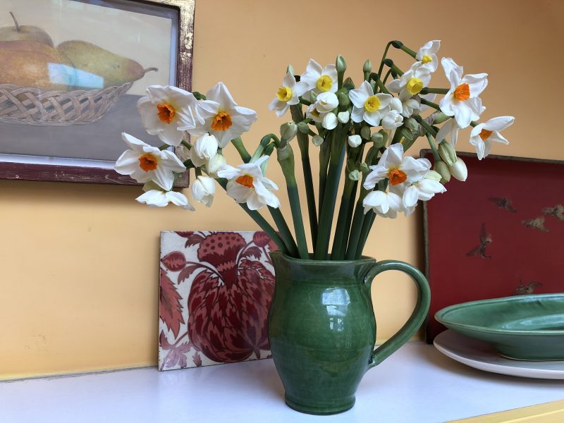 spring bulbs in a cottage garden spring bulbs in a cottage garden