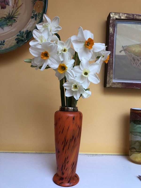 flowers in a cottage garden