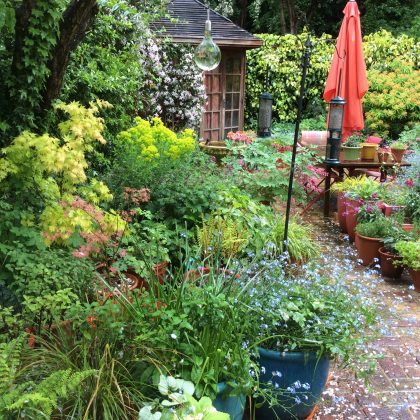 London Cottage Garden Blog