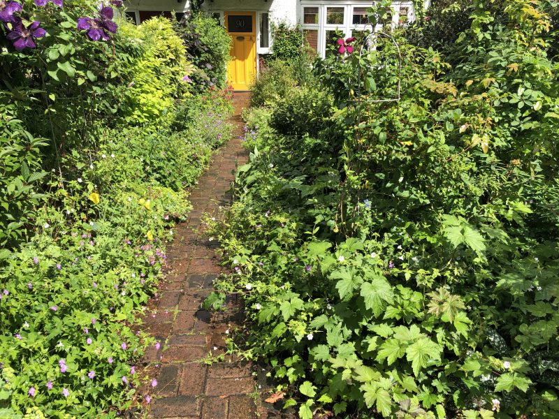 London Cottage Garden A front garden for other people to enjoy - London