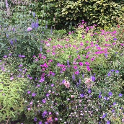 London Cottage Garden Blog