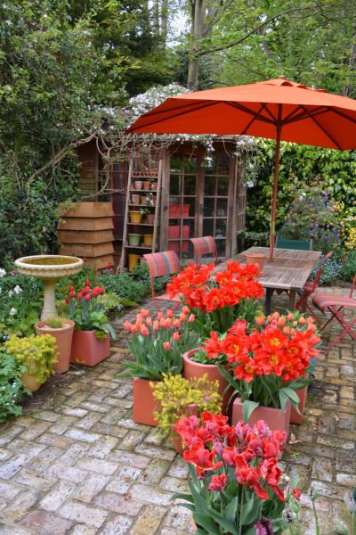 London Cottage Garden London Cottage Garden Blogging About