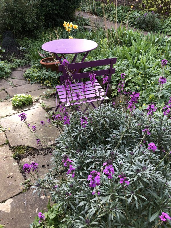 purple garden furniture in a cottage garden