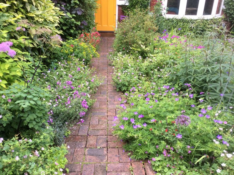 cottage garden planting