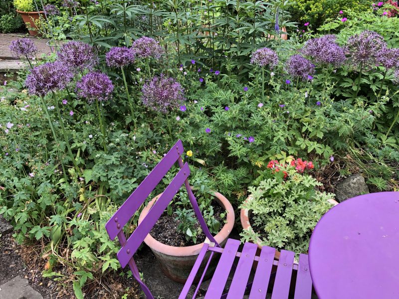 cottage garden planting