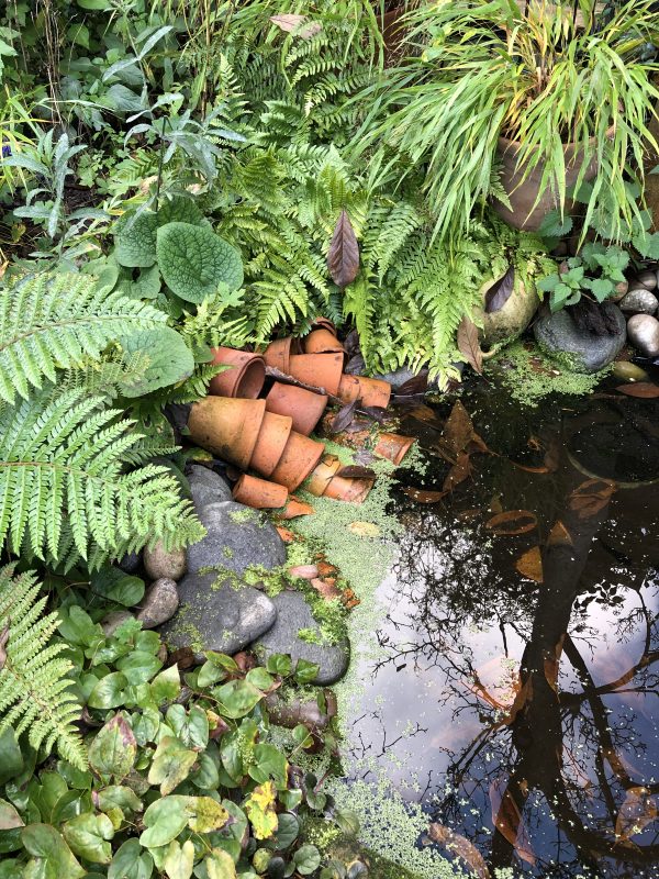 winter cottage garden colours