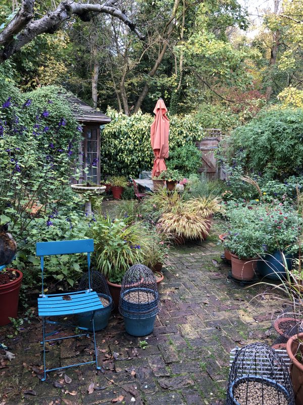 brick paving in a cottage garden