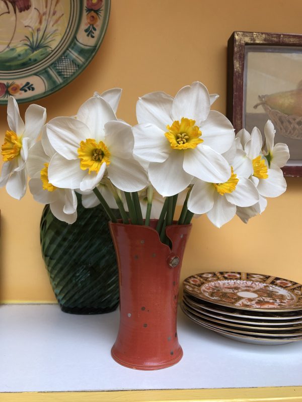 cut flowers from your small garden