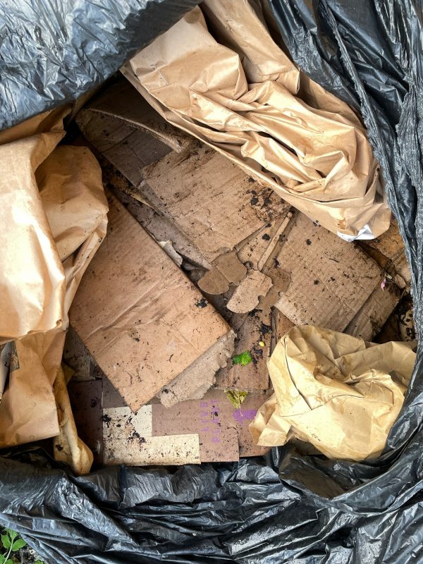 cardboard in compost