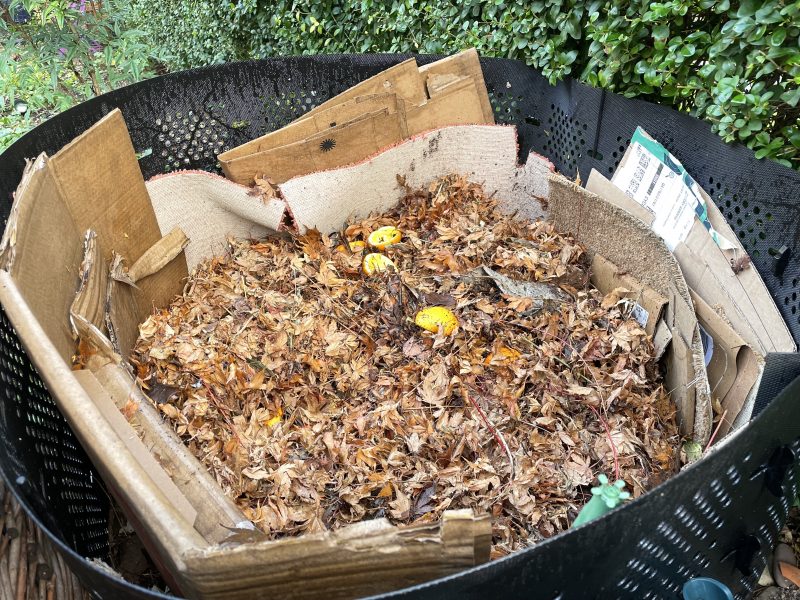 plastic compost bin