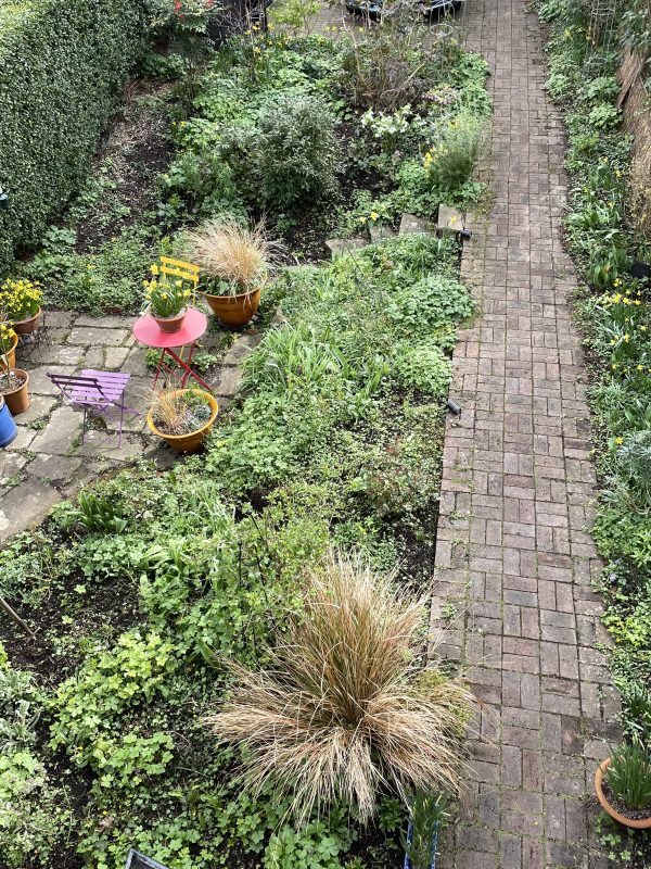 Cottage garden front path