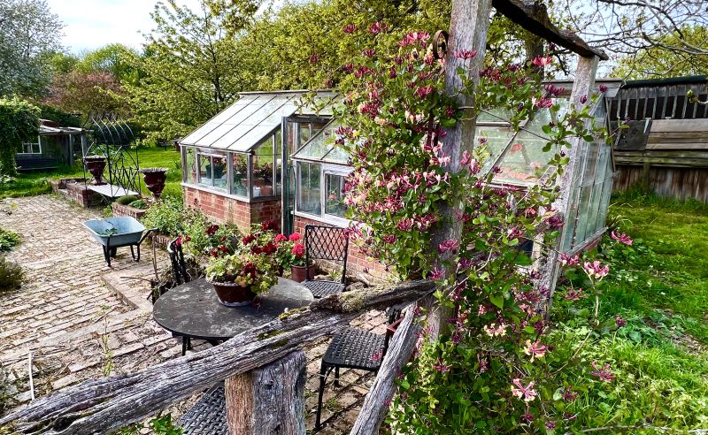 a beautiful cottage garden