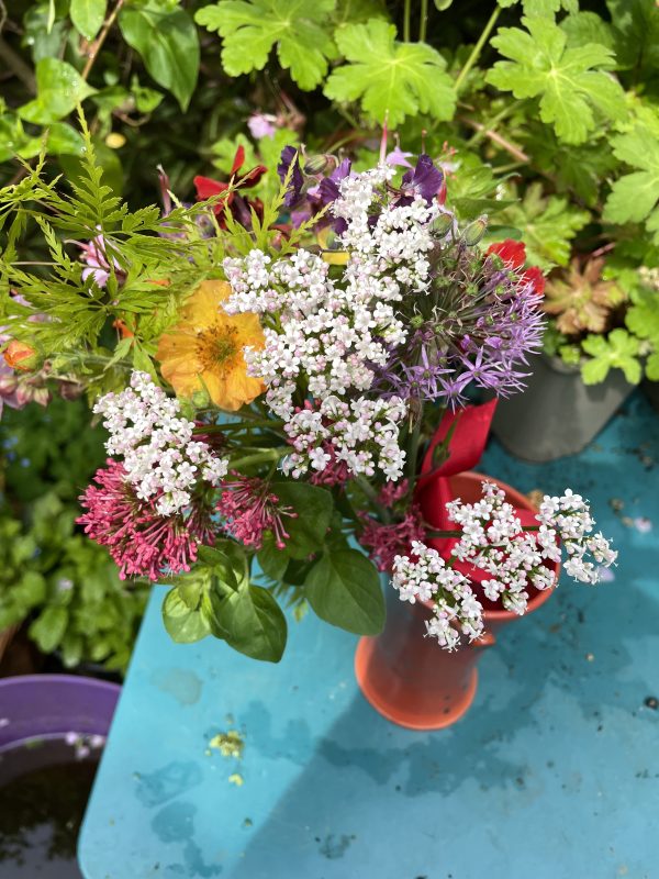 cottage garden flowers