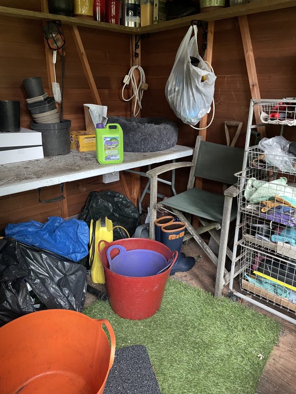 garden stuff in the shed