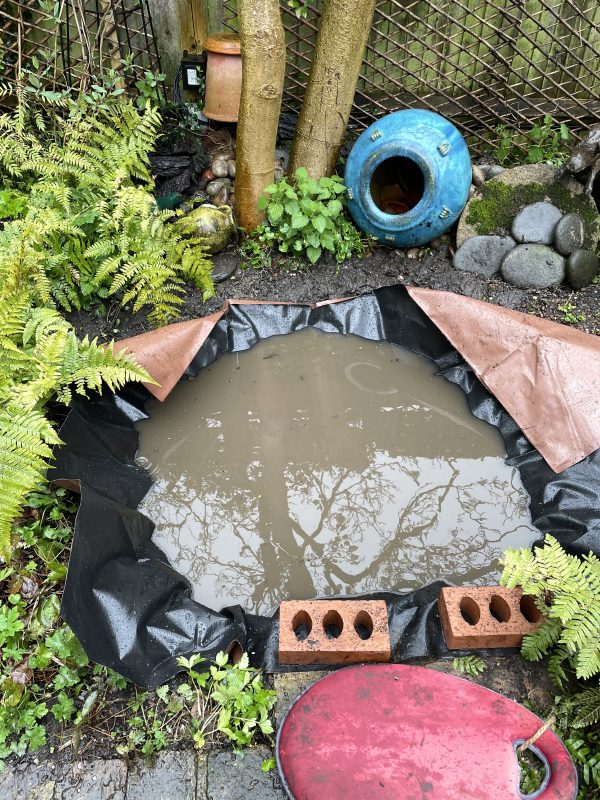 new pond liner and old pond water